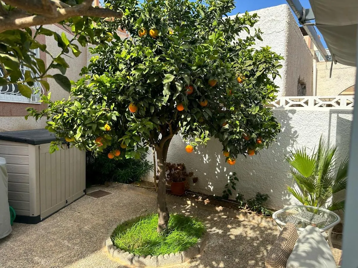 Holiday home Large Villa Private Pool And Garden Near Beach Roquetas de Mar